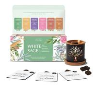 Aromafume Coffret cadeau en brique d'encens sauge blanche | 12 briques et brûleur exotique arbre de vie | Sauge blanche avec rose, lavande, Palo Santo, bois de santal, encens | Sauge pour nettoyer et