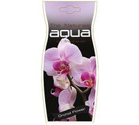 Aromaqua Désodorisant Diffuseur à accrocher pour Voiture - Odeur Fleur Orchidée