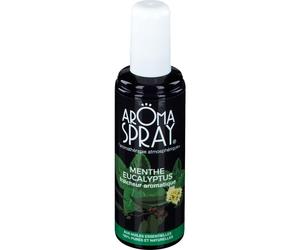 Aromaspray He Menth/Eucal Spr100ml