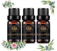 Aromathérapie Huiles Essentielles Eucalyptus Set,100% Pure Eucalyptus Essential Huiles Parfum Set,3 * 10ml Thérapeutique Grade Eucalyptus Aromathérapie Huiles Essentielles Parfum Set Pour Diffuseur