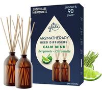 Aromatherapy Diffuseur Bâtonnets - Infusé Aux Huiles Essentielles - Jusqu'à 90 Jours De Parfum - Moment Of Zen, Lavande & Bois De Santal - 2 Diffuseurs & 16 Bâtonnets