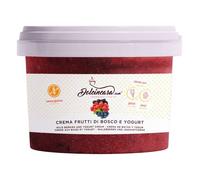 Arôme fruits des bois et crème de yaourt Sans gluten Prêt à l'emploi pour pâtisseries Crêpes Bignes et divers bonbons 500 GR