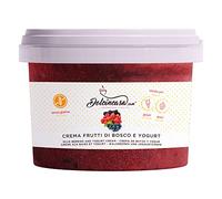 Arôme fruits des bois et crème de yogurt Sans gluten Prêt à l'emploi pour pâtisseries Crêpes Bignes et divers bonbons au goût délicat Consistance moelleuse et facile à étaler 500g