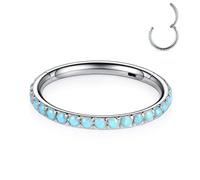 AROWRO 20G 18G 16G 14G CZ Anneaux de nez septum clicker cartilage conch boucle d'oreille Hoop en acier chirurgical 316L Conch Daith Helix Tragus Piercing bijoux, Acier inoxydable
