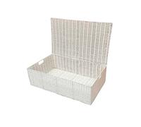 ARPAN Boîte de rangement en résine tissée pour dessous de lit, panier à jouets avec couvercle, blanc, 57 x 36 x 17 cm