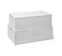 ARPAN Boîte de Rangement en résine tressée pour Dessous de lit, Coffre à Jouets, Panier à vêtements avec Couvercle - Blanc (lot - 1 x L, 1 x M)