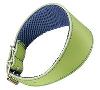 arppe 195376050124 Collier en Cuir avec Doublure 3D Amazone, Vert et Bleu