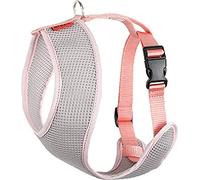 Arppe 195760040111 Arnés Acc Plus