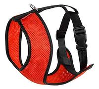 Arppe 195760040170 Arnés Acc Plus