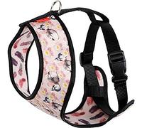 Arppe 195810020547 ARNÉS ACC Plus