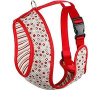 Arppe 196210030543 ARNÉS ACC Plus