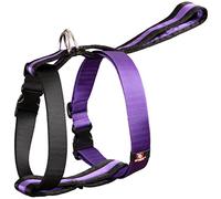 arppe 222904010121 Harnais Nylon matelassé avec Sangle Voiture, Noir et Violet