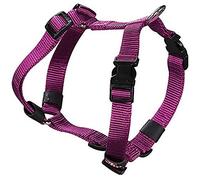 Arppe 2241010511 Harnais Nylon Basic