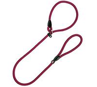 Arppe 4033011128 Nylon de Courroie de Collier éducatif, 14 mm