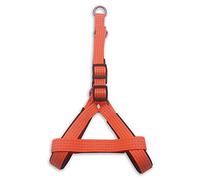 Arquivet 17635 Harnais Orange, 2.0 x 45-55 cm