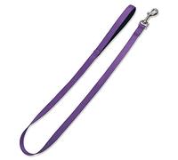 Arquivet 17639 Courroie en Nylon Violet 2,5 x 120 cm