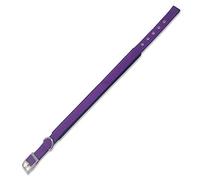 Arquivet 17641 Collier Nylon, Violet, 2.0 x 45 cm