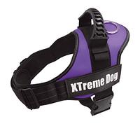 Arquivet 17714 Harnais Xtreme Dog, Lilas, XL (80-110 cm)