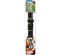 Arquivet 8435117812895 - Poignée Ceinturon sécurité réglable, Couleur Noir