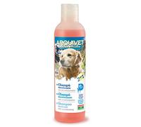 Arquivet 8435117825338 - L'Oréal Shampoing Déodorant 2 en 1 250 ML