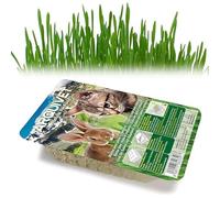 Arquivet 8435117842359 - Herbe Chats dans Plateau