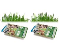 Arquivet 8435117842359 - Herbe Chats dans Plateau (Lot de 2)