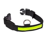Arquivet - Collier Lumineux pour Chien LED Jaune - Taille S 28-40cm/2,5cm