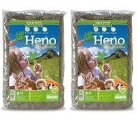 ARQUIVET Foin avec Carotte pour Les rongeurs et Les Petits mammifères 500 GR (Lot de 2)