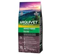 ARQUIVET Nourriture Premium Adult Maxi Poulet et Riz 12 kg - Nourriture naturelle pour chiens adultes de grandes races - Aliment sec pour chiens - Haute digestibilité, gastro-intestinal