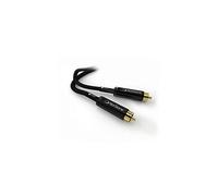 Norstone ARRAN - Câble 2 x RCA M/M - 1m