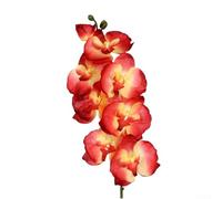 Arrangement de fleurs artificielles phalaenopsis à 8 têtes pour maison et décoration de mariage - Orchidées en plastique réalistes, détails réalistes, résistantes à la décoloration, faciles à coiffer