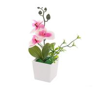 Arrangement d'orchidées phalaenopsis artificielles 26 x 10 x 10 cm - Plante en pot réaliste pour décoration d'intérieur - Fleurs réalistes - Pas besoin d'eau - Affichage floral d'intérieur (blanc et