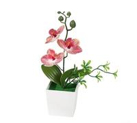 Arrangement d'orchidées phalaenopsis artificielles 26 x 10 x 10 cm - Plante en pot réaliste pour décoration d'intérieur - Fleurs réalistes - Pas besoin d'eau - Affichage floral d'intérieur (veines