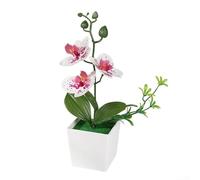 Arrangement d'orchidées phalaenopsis artificielles 26 x 10 x 10 cm - Plante en pot réaliste pour décoration d'intérieur - Fleurs réalistes - Pas besoin d'eau - Affichage floral d'intérieur (un peu de