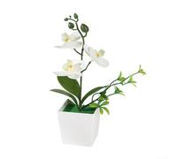 Arrangement d'orchidées phalaenopsis artificielles 26 x 10 x 10 cm - Plante en pot réaliste pour décoration d'intérieur - Fleurs réalistes - Pas besoin d'eau - Affichage floral d'intérieur (blanc)
