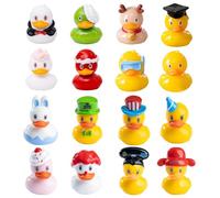 Arrdély Lot de 16 mini figurines de canards - Décoration de canard pour paysage miniature - Figurines miniatures pour maison de poupée, jardin