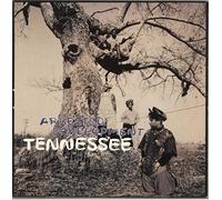 ARRESTED DEVELOPMENT / TENNESSEE (REMIXES)