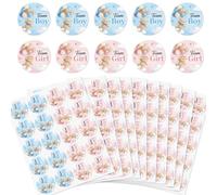 arricraft 200 Pcs Gender Reveal Stickers, 5cm/1.97inch Bear Balloon Cloud Theme Round Autoadhésif Gender Reveal Labels Décorations Party Supplies Stickers for Shower Party Voting Game Ideas