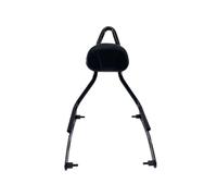 Arrière Coussin Siège Dossier arrière de passager pour chef indien Bobber Dark Horse 2022 2023, accessoires moto Sissy Bar Porte-Bagages Dossier de Moto(B)