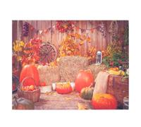 Arrière-Plan Photo Fête Halloween Citrouille Thanksgiving Décor Orange | Vinyle et Coton, Texture Fine et Couleurs Vives, Usage Mural, Plafond, Table, Chambre