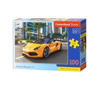 ARRINERA HUSSARYA