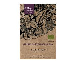 Arroche des jardins verte (Atriplex hortensis) env. 100 semences