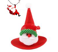 Arroopu Chapeau De Noël pour Chat - Couvre-Chef Ajustable Drôle De Noël,Chapeau Costume Père Pointu pour Chat | pour Petits et Moyens Chiot Hamster Lézard Dragon Barbu Célébration