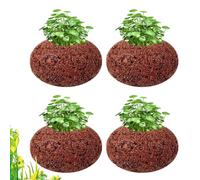 Arroopu Lot de 4 Anneaux Fixes pour Aquatiques, Poids de d'aquarium, 25 mm, Anneau Fixe de Culture pour Aquatiques, Accessoires pour Aquarium