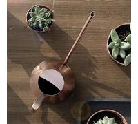 Arrosage Intérieur, de Longs Pots de Fleurs Arrosage en Acier Inoxydable Boîte avec Un Long Bec de Plante Verte de Fleur de (M 25x25x10.5cm / 9.8x9.8x4.1in)