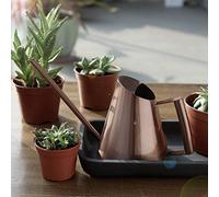 Arrosage Intérieur, de Longs Pots de Fleurs Arrosage en Acier Inoxydable Boîte avec Un Long Bec de Plante Verte de Fleur de (Petite Taille)