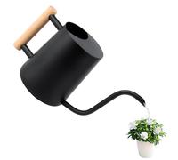 Arrosoir 1 l, arrosoir pour plantes d'intérieur - Arrosoir avec long bec et poignée en bois confortable - Arrosoir en acier inoxydable noir pour plantes en pot - Plantes succulentes - Arrosoir de