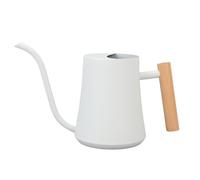 Arrosoir 1 L pour Plantes d'intérieur, arrosoir en Acier Inoxydable avec Long Bec et Manche en Bois pour Maison, bonsaï, Jardin, Fleur décorative (Blanc Mat)