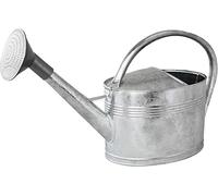 Arrosoir 10L + pomme d'arrosage, Acier