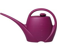 Arrosoir - 4,5 l Printemps violet foncé avec arroseur